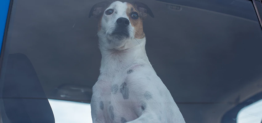 Car Lockout Solutions in Palmdale, California